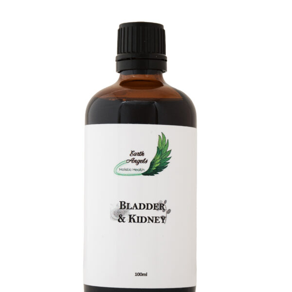 Bladder & Kidney